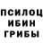 Псилоцибиновые грибы GOLDEN TEACHER about Hun